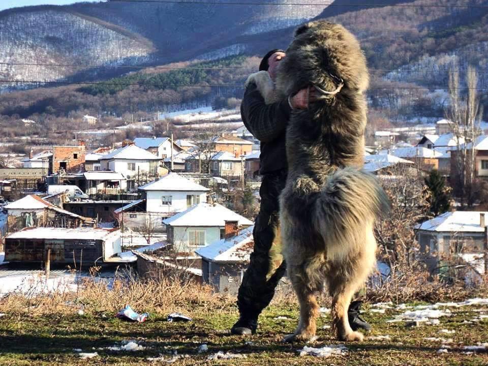 Отель Гостевой дом Qaldea Ушгули Экстерьер фото
